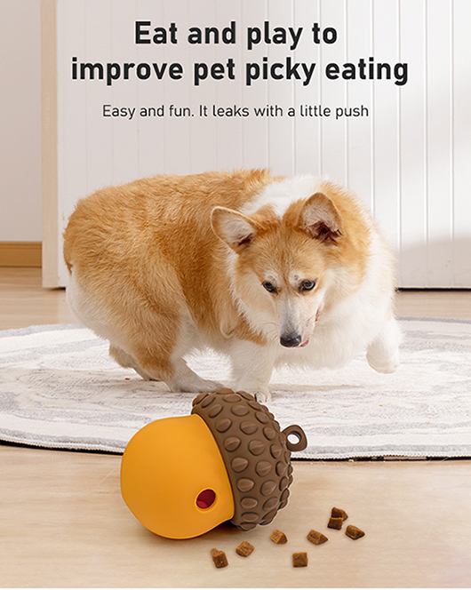 Pet Leakage Toy
