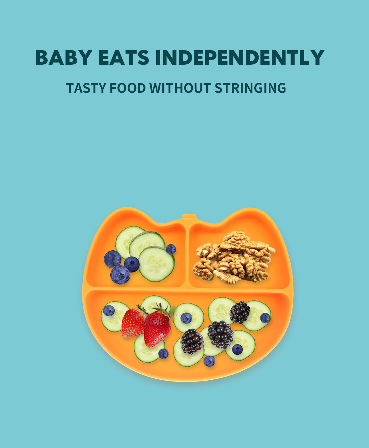 シリコン製分割プレート