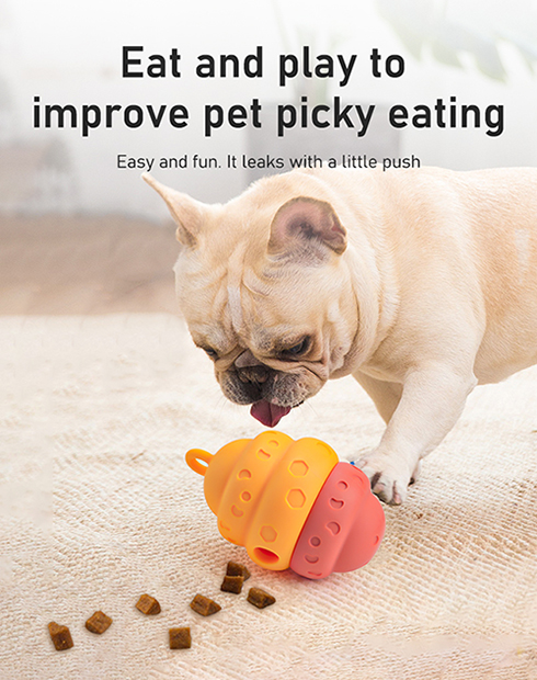 Pet Slow Feeding Toy