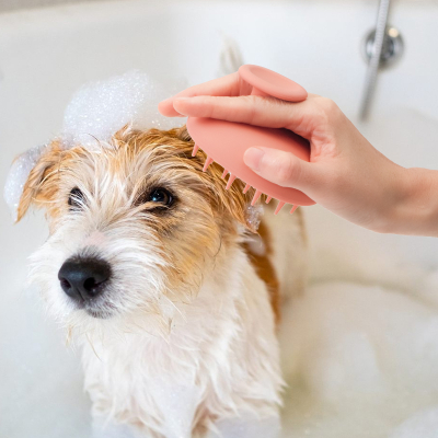 Pet Shower Brush