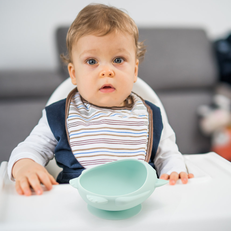 Silicone Baby Bowl