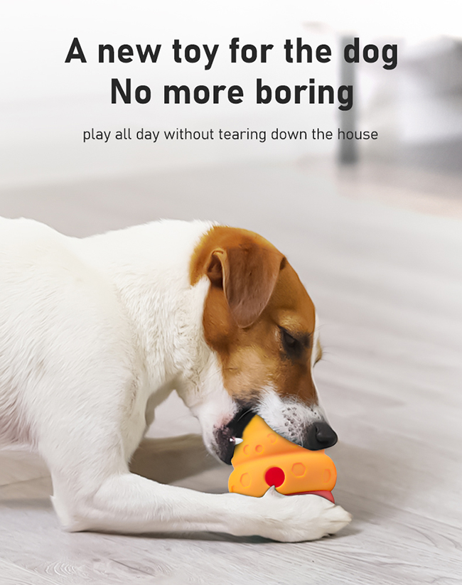 Pet Slow Feeding Toy