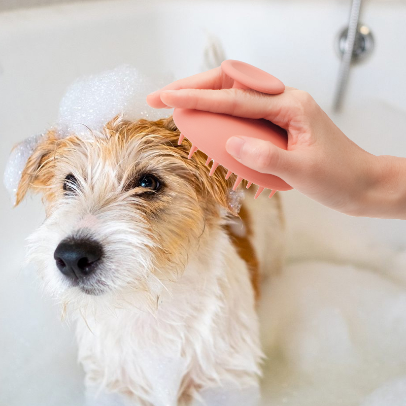 Pet Shower Brush